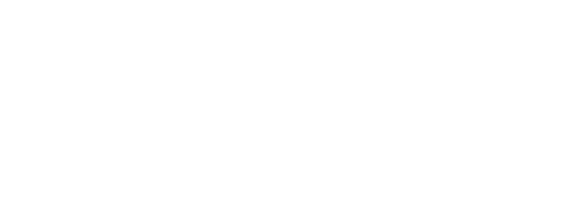 TERENCE V70 Pro
